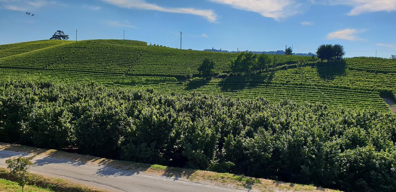 Cascina Goretta Agriturismo La Morra Exteriér fotografie